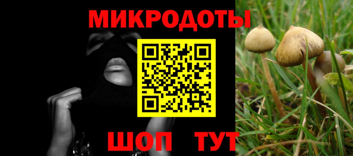 закладка  Псилоцибиновые грибы мицелий  Вход с VPN  Ульяновск 